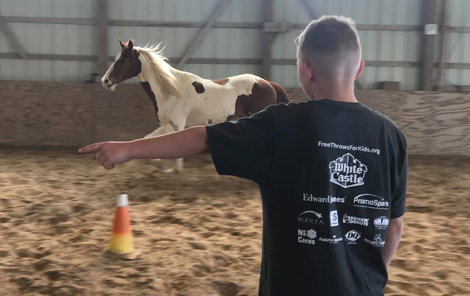 Equine Assisted Learning